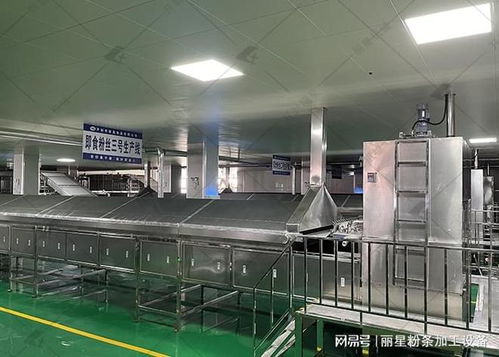丽星桶装粉丝粉饼生产设备 核心优势解析与规模化生产落地实践